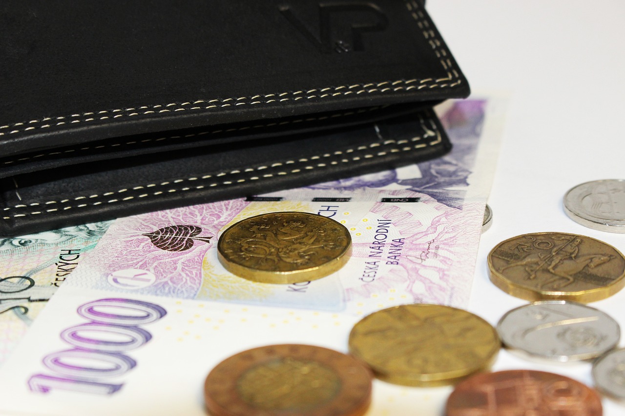 Protecting your e-wallet from cyber theft